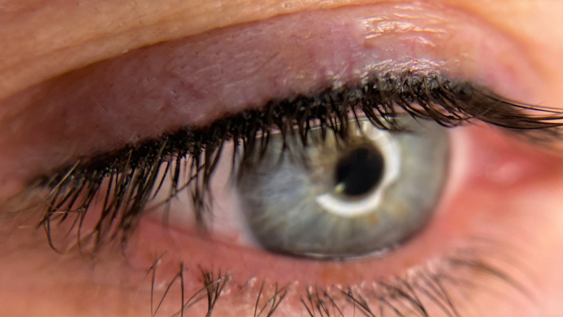 Міжвійка 1600 грн Міжвійка 1600 грн